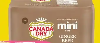 Giant Tiger CANADA DRY offer