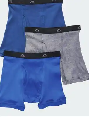 Giant Tiger boxer/briefs offer