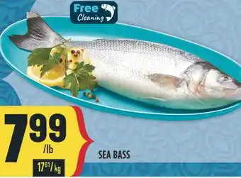 Marché Adonis SEA BASS offer