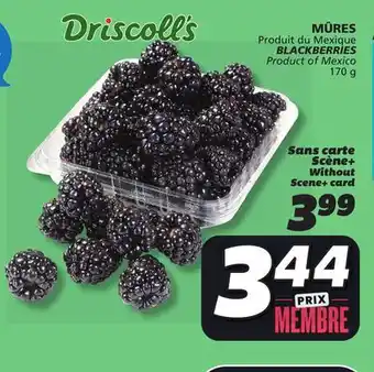 IGA BLACKBERRIES offer