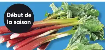 IGA RHUBARB offer