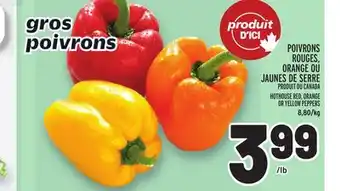 Metro POIVRONS ROUGES, ORANGE OU JAUNES DE SERRE | HOTHOUSE RED, ORANGE OR YELLOW PEPPERS offer