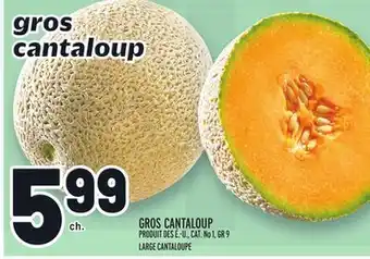 Metro GROS CANTALOUP | LARGE CANTALOUPE offer