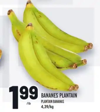 Metro BANANES PLANTAIN | PLANTAIN BANANAS offer