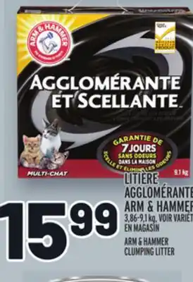 Metro LITIÈRE AGGLOMÉRANTE ARM & HAMMER | ARM & HAMMER CLUMPING LITTER offer