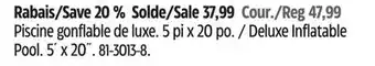 Canadian Tire Bestway Deluxe Inflatable Pool offer