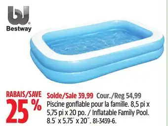 Canadian Tire H20Go! Inflatable Family Pool offer