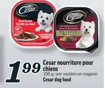 Marché Richelieu CESAR NOURRITURE POUR CHIENS | CESAR DOG FOOD offer