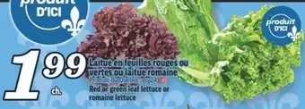 Marché Richelieu LAITUE EN FEUILLES ROUGES OU VERTES OU LAITUE ROMAINE | RED OR GREEN LEAF LETTUCE OR ROMAINE LETTUCE offer