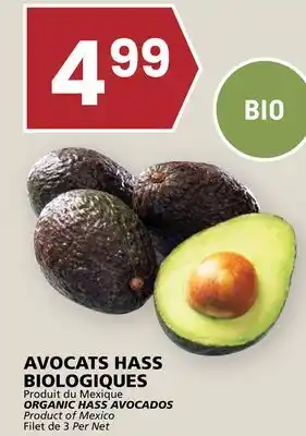 Rachelle-Bery Grocery ORGANIC HASS AVOCADOS offer