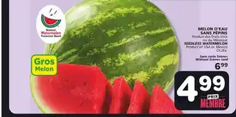 Marches Tradition SEEDLESS WATERMELON offer