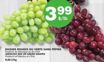 Marches Tradition SEEDLESS RED OR GREEN GRAPES offer