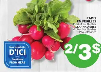 Marches Tradition LEAF RADISHES offer