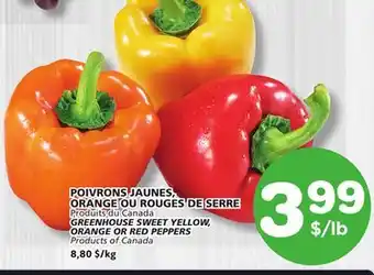 Marches Tradition GREENHOUSE SWEET YELLOW, ORANGE OR RED PEPPERS offer