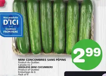 Marches Tradition SEEDLESS MINI CUCUMBERS offer