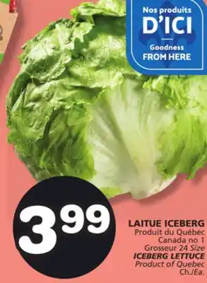 Marches Tradition ICEBERG LETTUCE offer