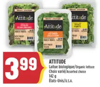 Marché Adonis ATTITUDE Laitue biologique offer