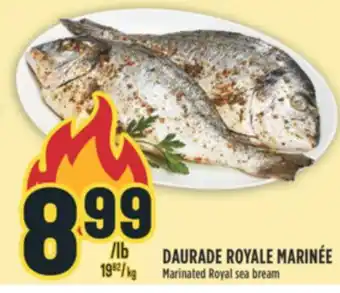 Marché Adonis DAURADE ROYALE MARINÉE offer