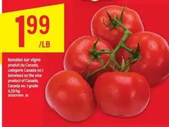 Maxi TOMATES SUR VIGNE offer