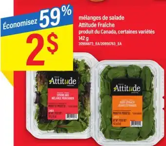 Maxi MÉLANGES DE SALADE ATTITUDE FRAÎCHE, 142 g offer