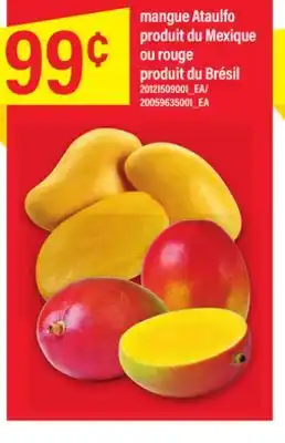 Maxi MANGUE ATAULFO offer