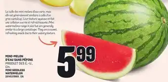 Provigo MINI-MELON D'EAU SANS PÉPINS offer