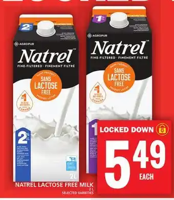 Food Basics NATREL LACTOSE FREE MILK offer