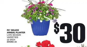 Loblaws PC DELUXE DELUXE ANNUAL PLANTER, 12 INCH offer