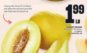 Loblaws CANARY MELONS offer