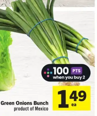 Foodland Green Onions Bunch offer