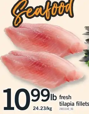 Fortinos fresh tilapia fillets offer