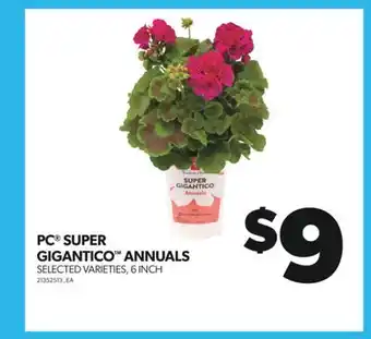 Real Canadian Superstore PC SUPER GIGANTICO ANNUALS offer