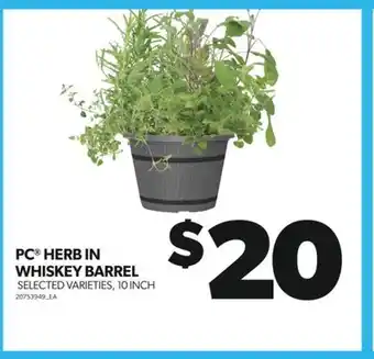 Real Canadian Superstore PC HERB IN WHISKEY BARREL, 10 INCH offer