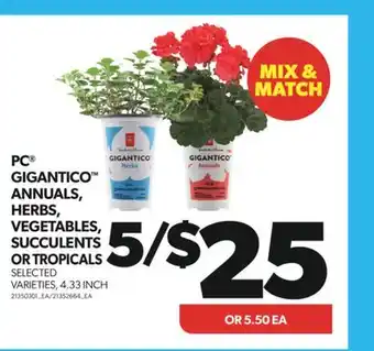 Real Canadian Superstore PC GIGANTICO ANNUALS, HERBS, VEGETABLES, SUCCULENTS OR TROPICALS, 4.33 INCH offer