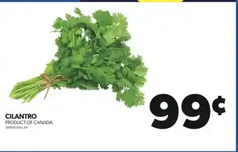 Real Canadian Superstore CILANTRO offer