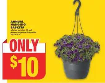 No Frills ANNUAL HANGING BASKETS, 10 inch offer