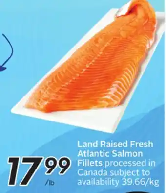 Sobeys Land Raised Fresh Atlantic Salmon Fillets offer