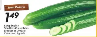 Sobeys Long English Seedless Cucumbers offer