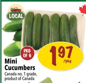 Farm Boy Mini Cucumbers offer