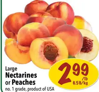 Farm Boy Large Nectarines or Peaches offer