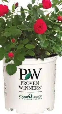 Home Depot DOUBLE RED offer