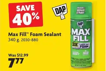 Home Hardware Max Fill Foam Sealant offer