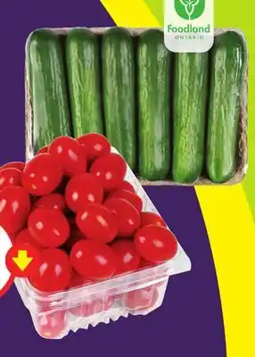 Chalo FreshCo Mini Seedless Cucumbers 6 pk Product of Ontario Canada No. 1 Grape Tomatoes Pint Product of Ontario offer