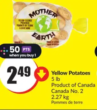 Chalo FreshCo Yellow Potatoes 5 lb Product of Canada Canada No. 2 2.27 kg offer