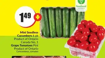 FreshCo Mini Seedless Cucumbers 6 pk Product of Ontario Canada No. 1 Grape Tomatoes Pint Product of Ontario offer