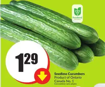 FreshCo Seedless Cucumber Product of Ontario Canada No. 1 offer