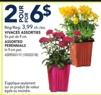 RONA ASSORTED PERENNIALS offer