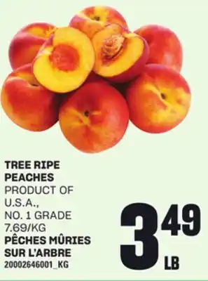 Independent Grocer TREE RIPE PEACHES offer