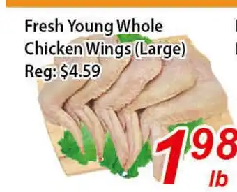 Seasons Foodmart Fresh Young Whole Chicken Wings (Large) offer