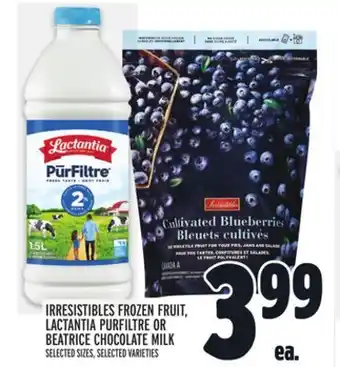 Metro IRRESISTIBLES FROZEN FRUIT, LACTANTIA PURFILTRE OR BEATRICE CHOCOLATE MILK offer